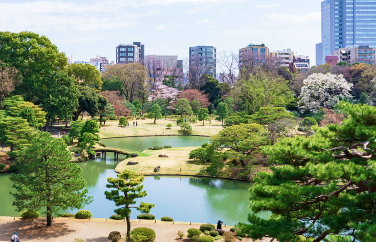 手で土と芽を掬っている写真